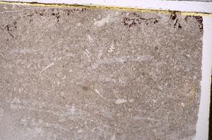 Plane Polarized, E41513