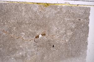 Plane Polarized, E41514