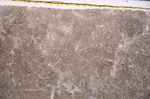 Plane Polarized, E41516