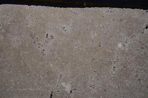Cross Polarized, E41516