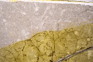 Plane Polarized, E41517