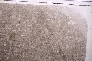 Plane Polarized, E41518