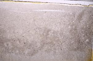 Plane Polarized, E41519