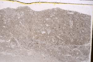 Plane Polarized, E41520