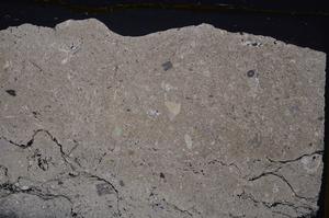 Cross Polarized, E41520
