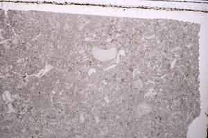 Plane Polarized, E41521