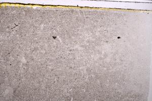 Plane Polarized, E41529