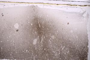 Plane Polarized, E41539