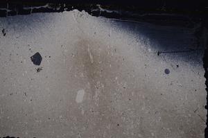 Cross Polarized, E41539