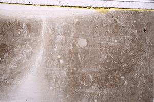Plane Polarized, E41542
