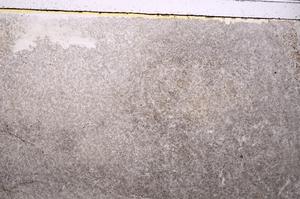 Plane Polarized, E41544