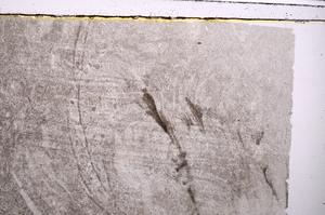 Plane Polarized, E41552