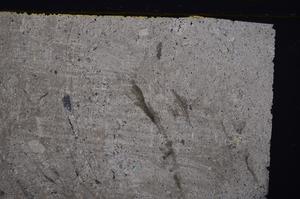 Cross Polarized, E41552