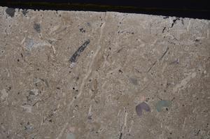 Cross Polarized, E41556