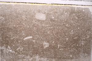 Plane Polarized, E41557