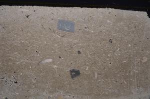 Cross Polarized, E41557
