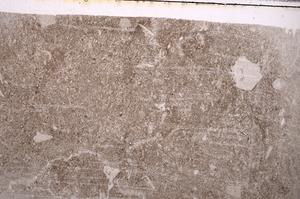 Plane Polarized, E41559