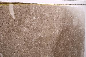 Plane Polarized, E41562