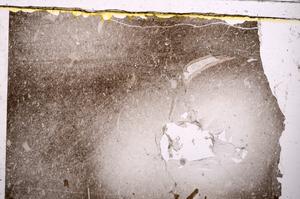 Plane Polarized, E41564