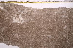 Plane Polarized, E41565