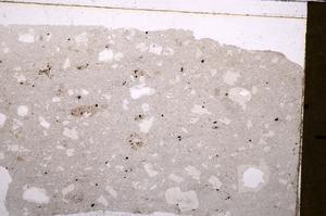 Plane Polarized, E41586