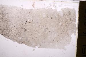 Plane Polarized, E41587