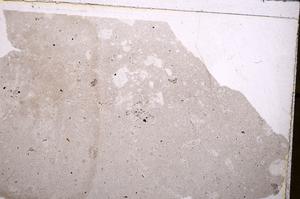 Plane Polarized, E41589