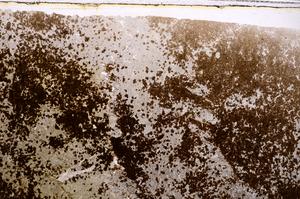 Plane Polarized, E41606