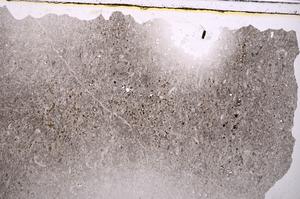 Plane Polarized, E41607