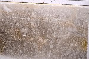 Plane Polarized, E41609