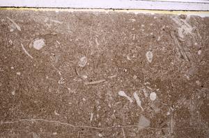 Plane Polarized, E41611