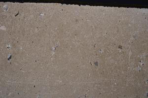 Cross Polarized, E41615