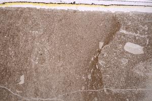 Plane Polarized, E41616