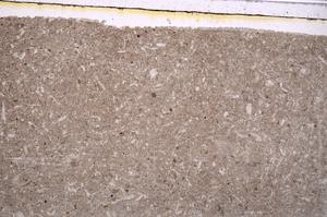 Plane Polarized, E41617