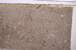 Plane Polarized, E41618