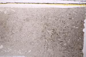 Plane Polarized, E41619