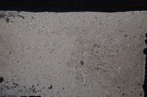 Cross Polarized, E41619