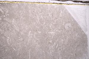 Plane Polarized, E41623