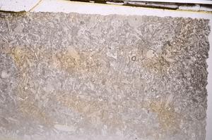 Plane Polarized, E41624