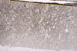 Plane Polarized, E41625