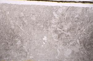 Plane Polarized, E41626