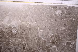 Plane Polarized, E41628
