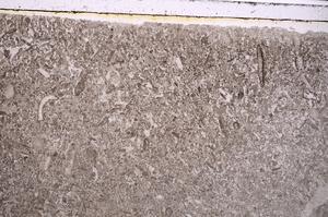 Plane Polarized, E41629