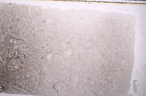 Plane Polarized, E41630
