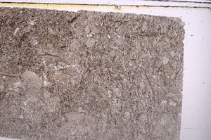 Plane Polarized, E41632