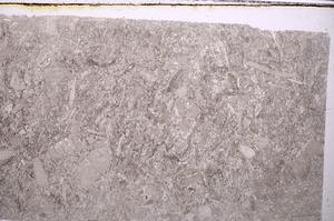 Plane Polarized, E41633