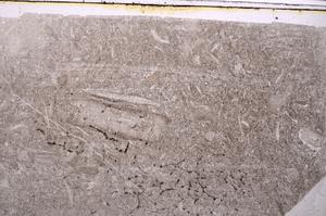 Plane Polarized, E41634