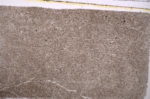 Plane Polarized, E41637