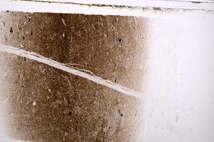 Plane Polarized, E41638