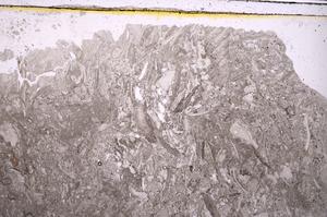 Plane Polarized, E41684